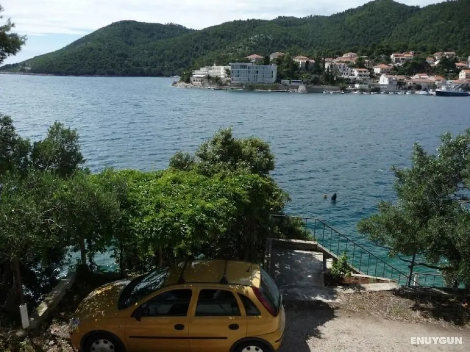 Robert - 5m From the sea - A2 - Öne Çıkan Resim