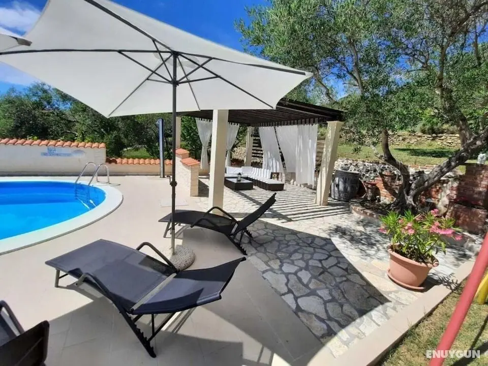Robi- Swimming Pool and Beautiful Garden - A3 - Öne Çıkan Resim