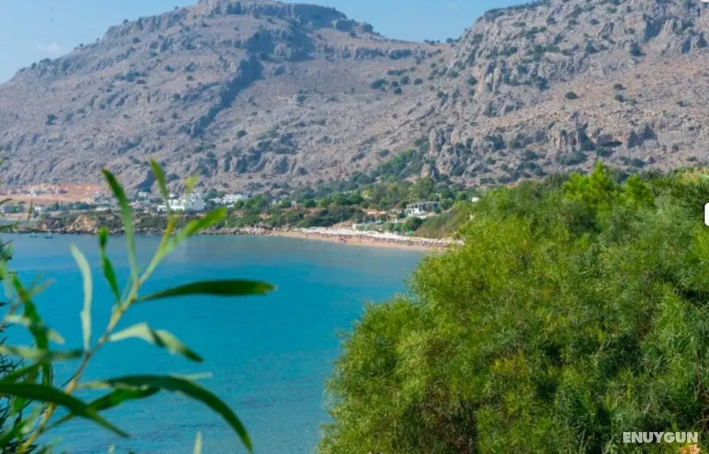 Rock Garden Apartments - 2 Steps From the Beach - Dış Mekan