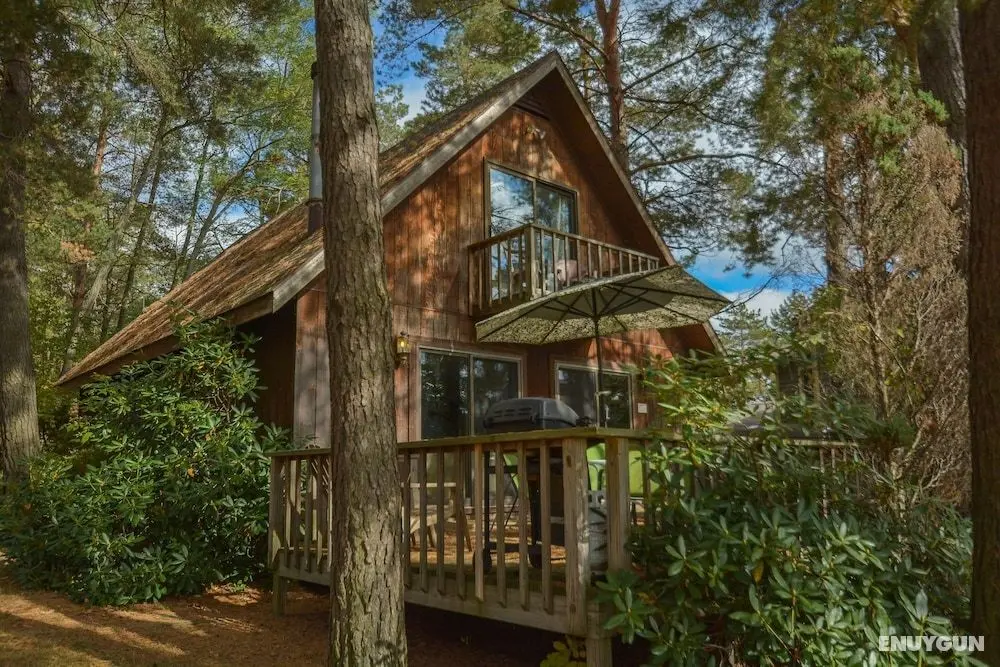 Rock Lodge - Öne Çıkan Resim