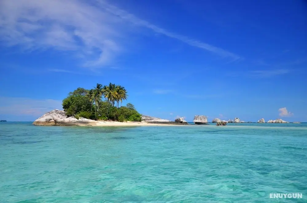 Rock and Wreck Dive Resort - Oda Manzaraları