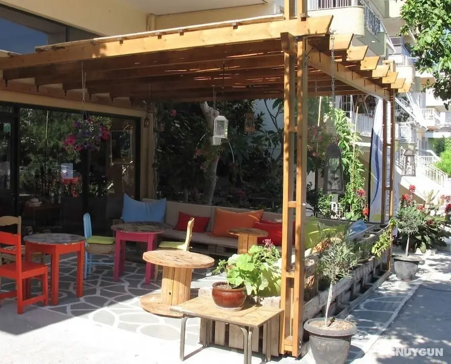 Rodos Backpackers - Bar