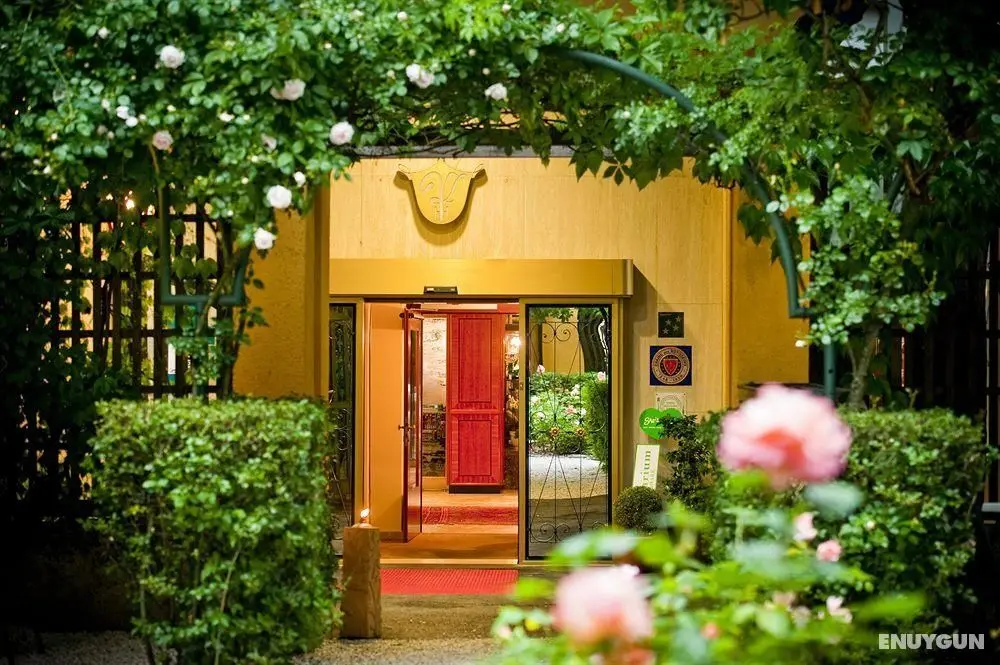 Romantik Parkhotel - Genel