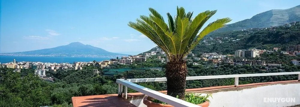 Villa Romeo - Öne Çıkan Resim
