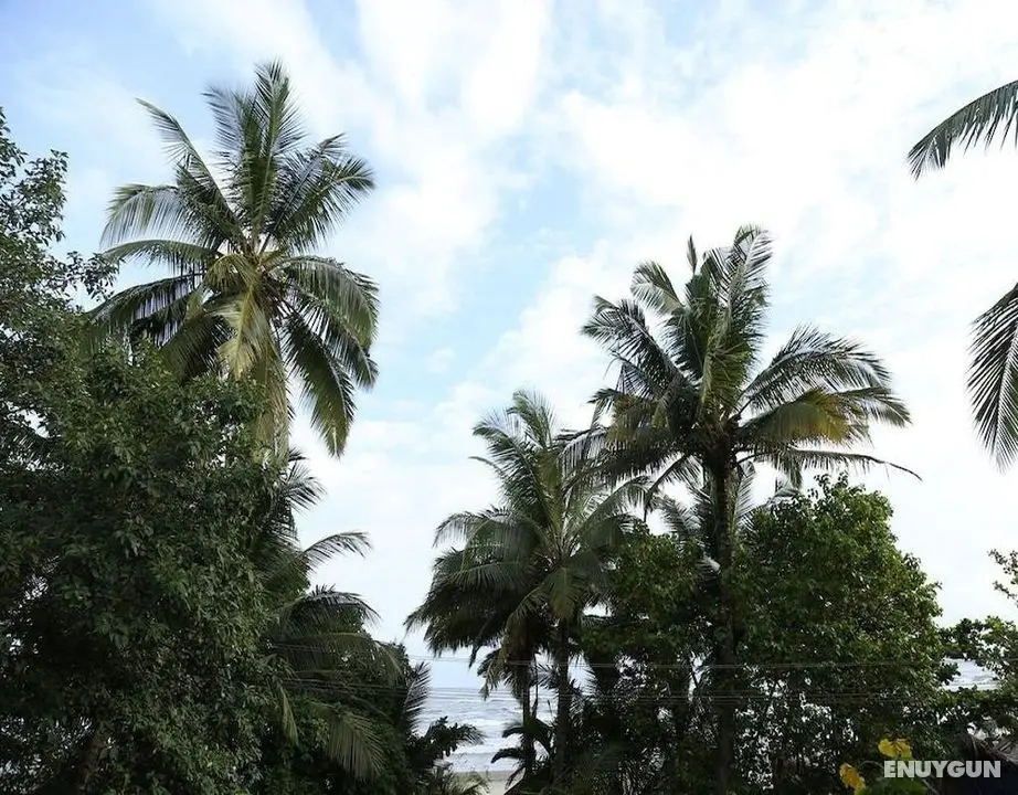 Room Maangta 326 - Pernem Goa - Dış Mekan