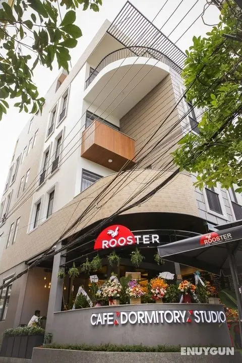 The Rooster Cafe, Dormitory and Studio - Öne Çıkan Resim