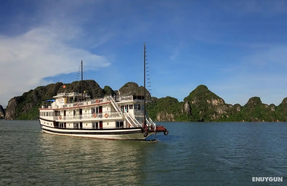 Rosa Boutique Cruise - Öne Çıkan Resim