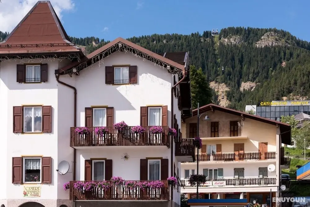 Rosalpina B&B - Öne Çıkan Resim