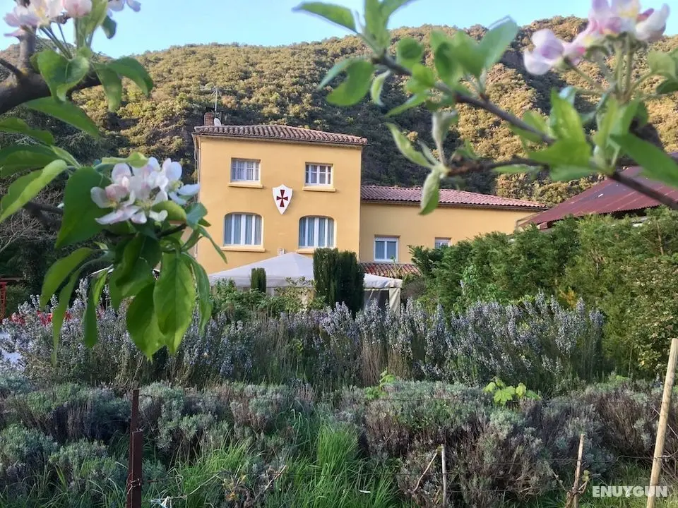 Rose des Pyrénées - Öne Çıkan Resim
