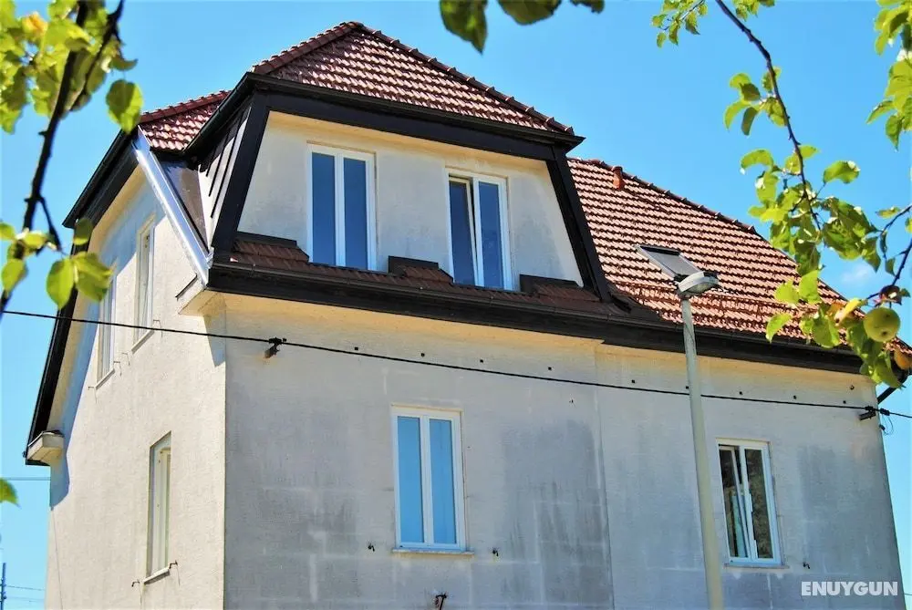 Rose Valley Ljubljana - Öne Çıkan Resim