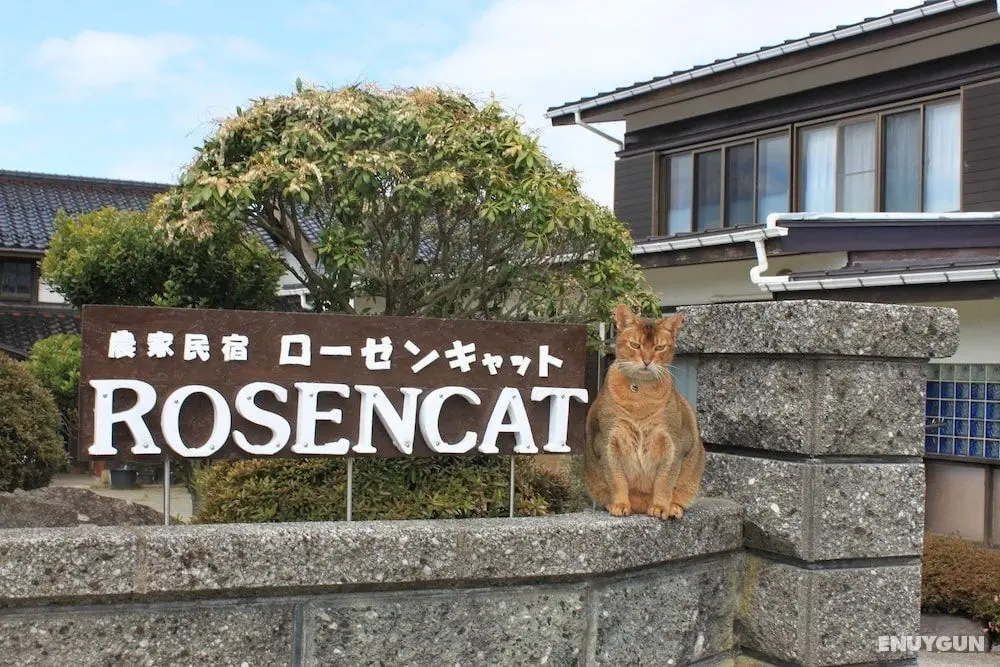 Rosencat - Agricultural experience required - Öne Çıkan Resim