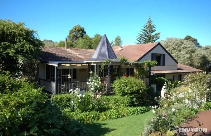 Rosewood Guesthouse - Genel