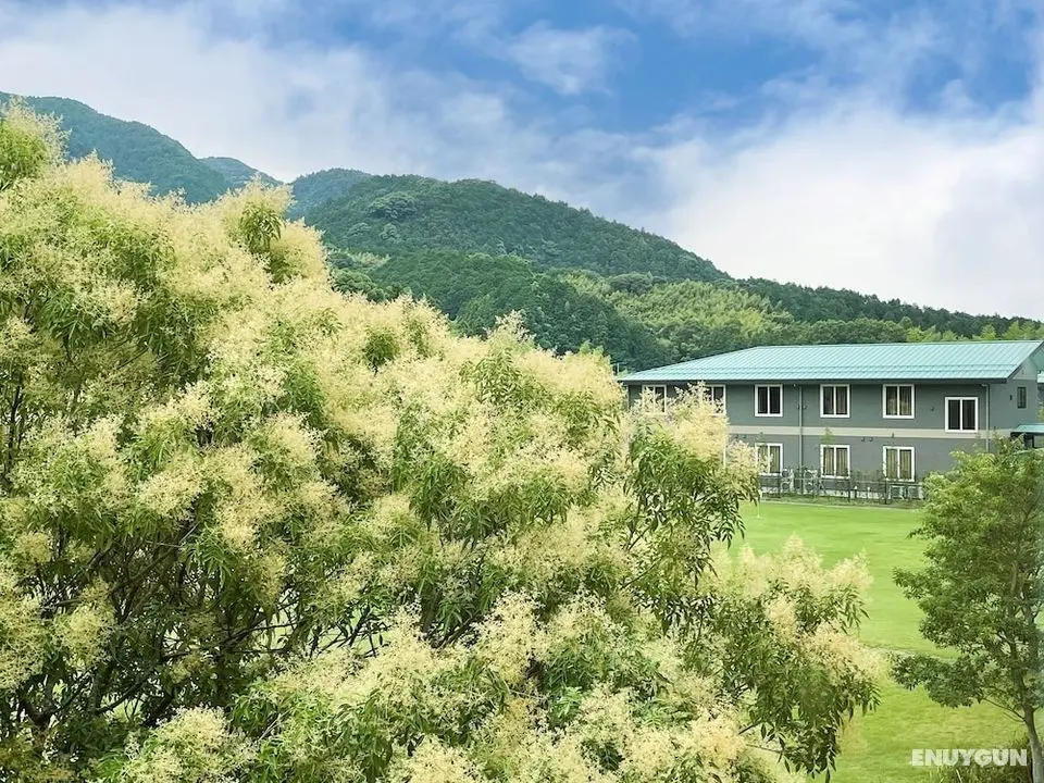 Route-Inn Grantia Fukuokamiyawaka-wakitaonsen- - Oda Manzaraları