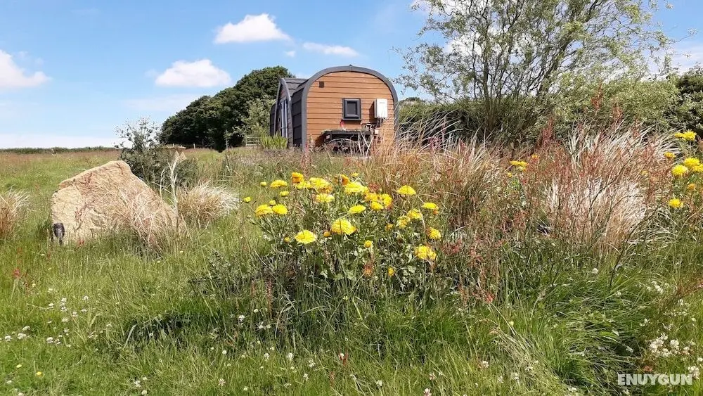 Rowan - Luxury Glamping Pod, Laneast, Cornwall - Öne Çıkan Resim
