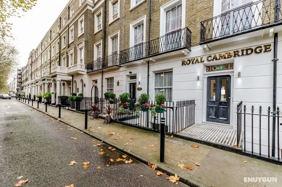 The Royal Cambridge - Genel