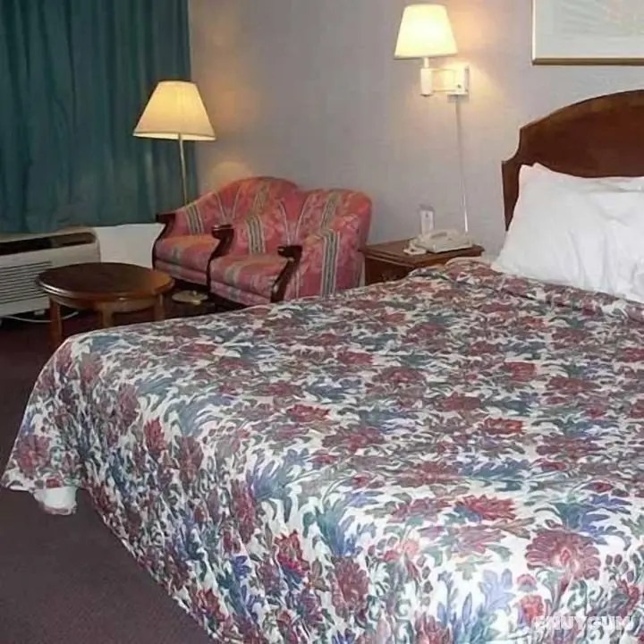 Royal Inn Knoxville Airport Alcoa - Oda