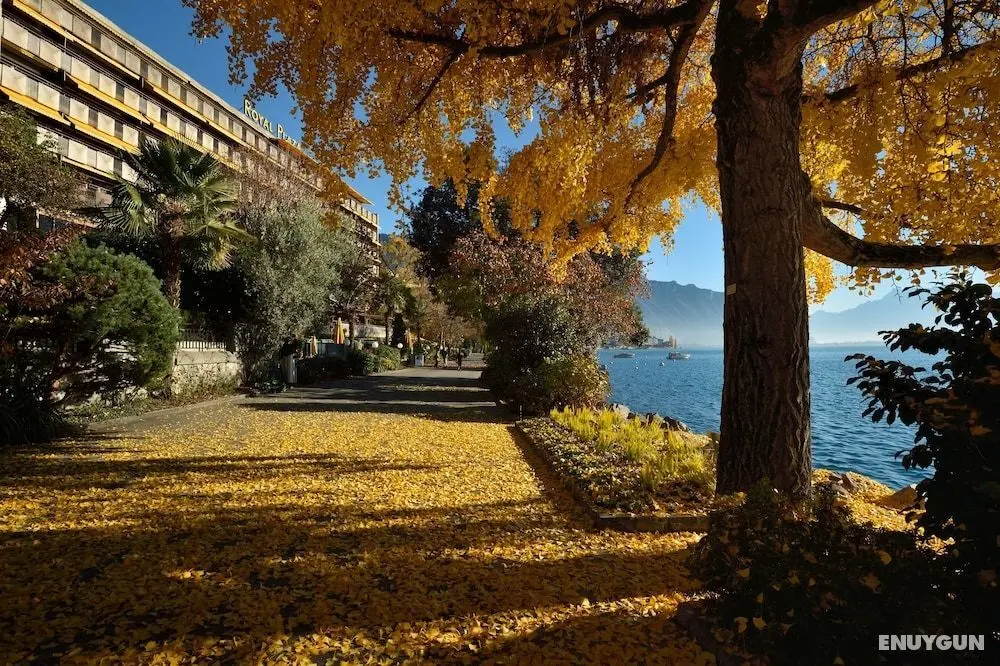 Royal Plaza Montreux - Öne Çıkan Resim