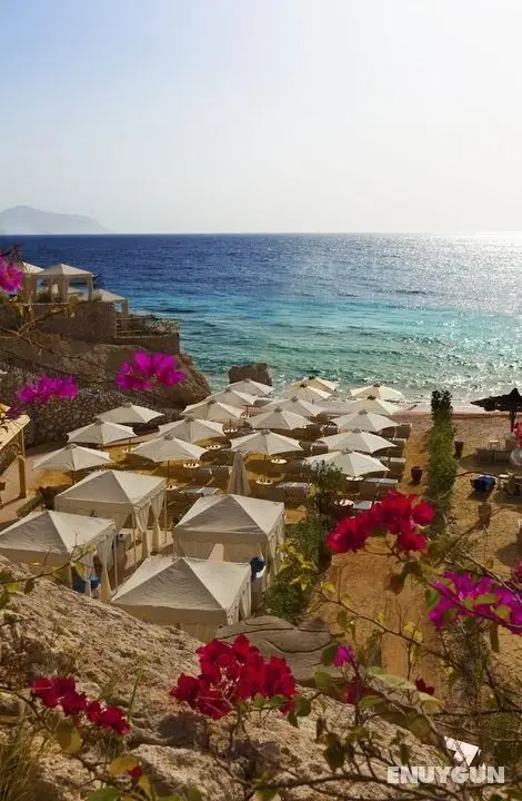 Royal Savoy Sharm El Sheikh - Öne Çıkan Resim