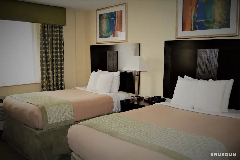 Royal Stay Hotel - Öne Çıkan Resim