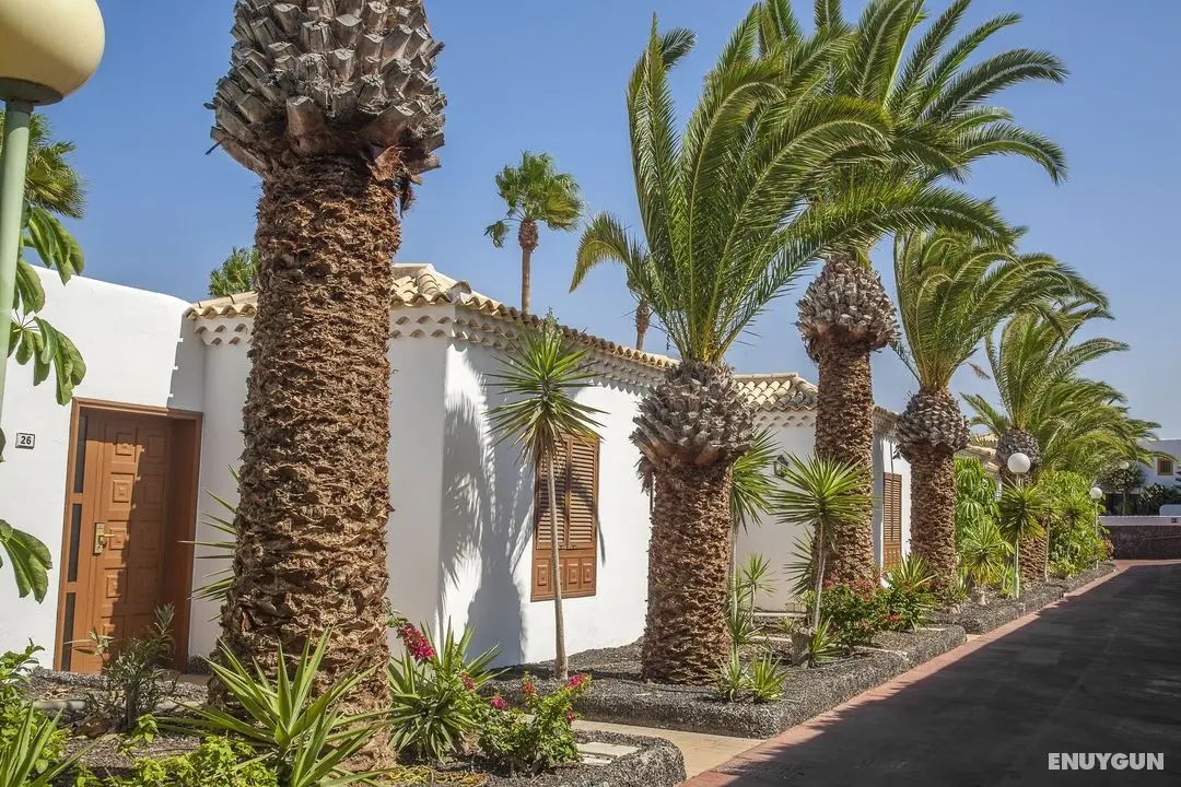 Royal Tenerife Country Club by Diamond Resorts - Genel