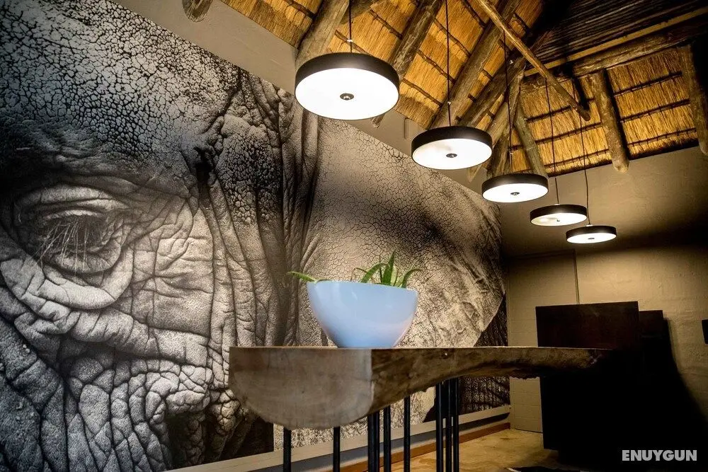 Royal Thonga Safari Lodge - Öne Çıkan Resim