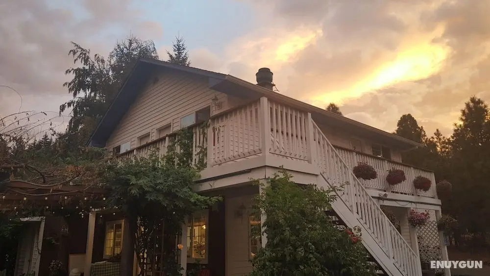 RubyJune Inn - Dış Mekan