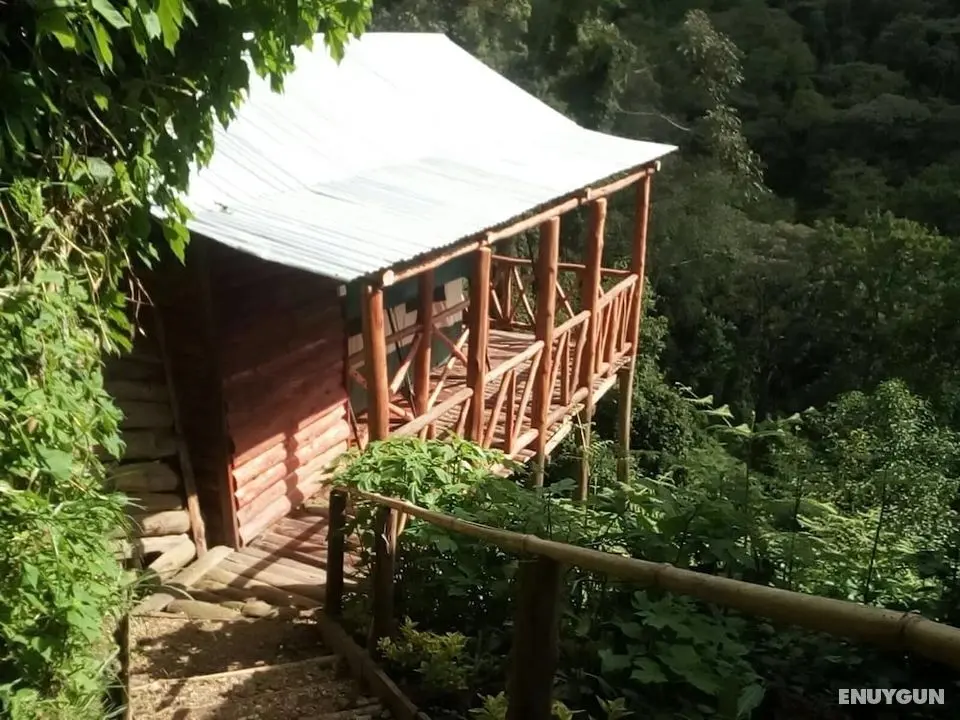 Ruhija Community Rest Camp - Öne Çıkan Resim