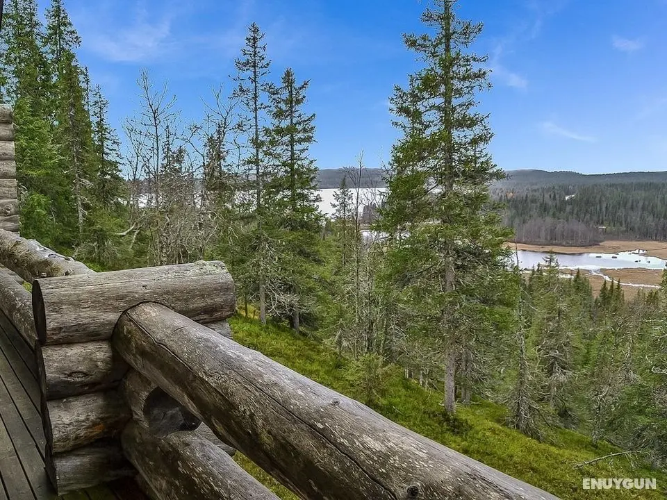 Rukaj Rven Kelopirtit Puolukka Kuusamo - Öne Çıkan Resim