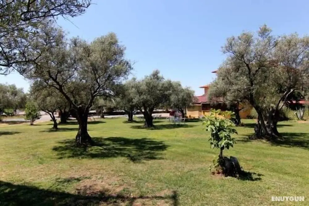 Hotel Rural Hojaranzos - Öne Çıkan Resim