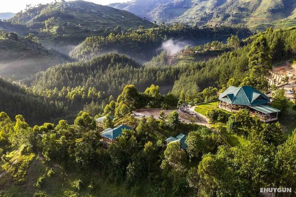 Rushaga Gorilla Camp - Öne Çıkan Resim