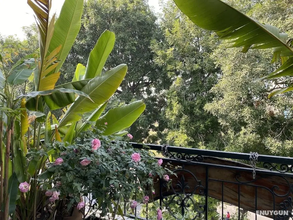 Rustic House Homestay - Oda