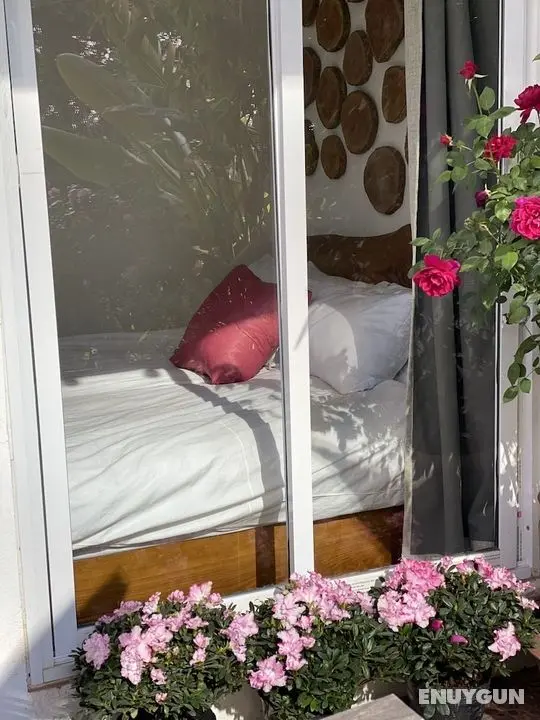 Rustic House Homestay - Öne Çıkan Resim