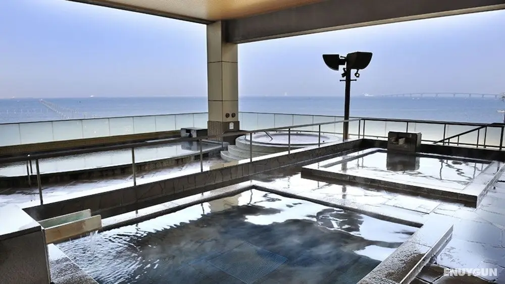 Ryugujo Spa Hotel Mikazuki Ryugutei - Ryokan Tesisleri