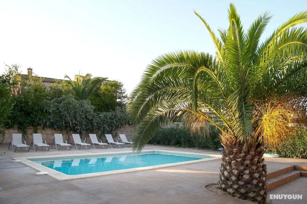 Villa Sa Barcella - Öne Çıkan Resim