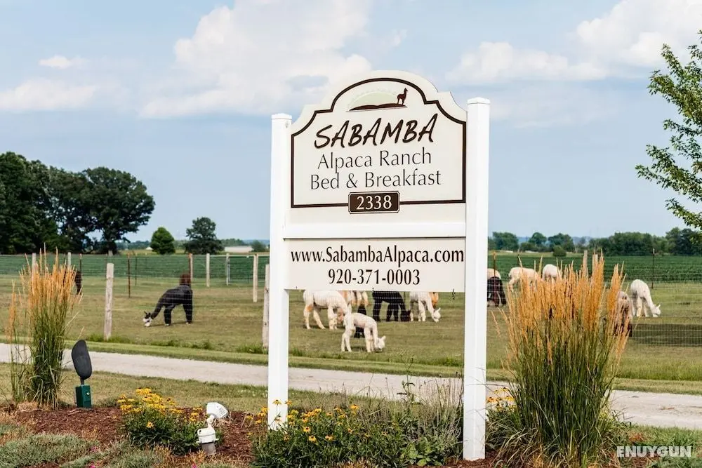 Sabamba Alpaca Ranch - Dış Mekan