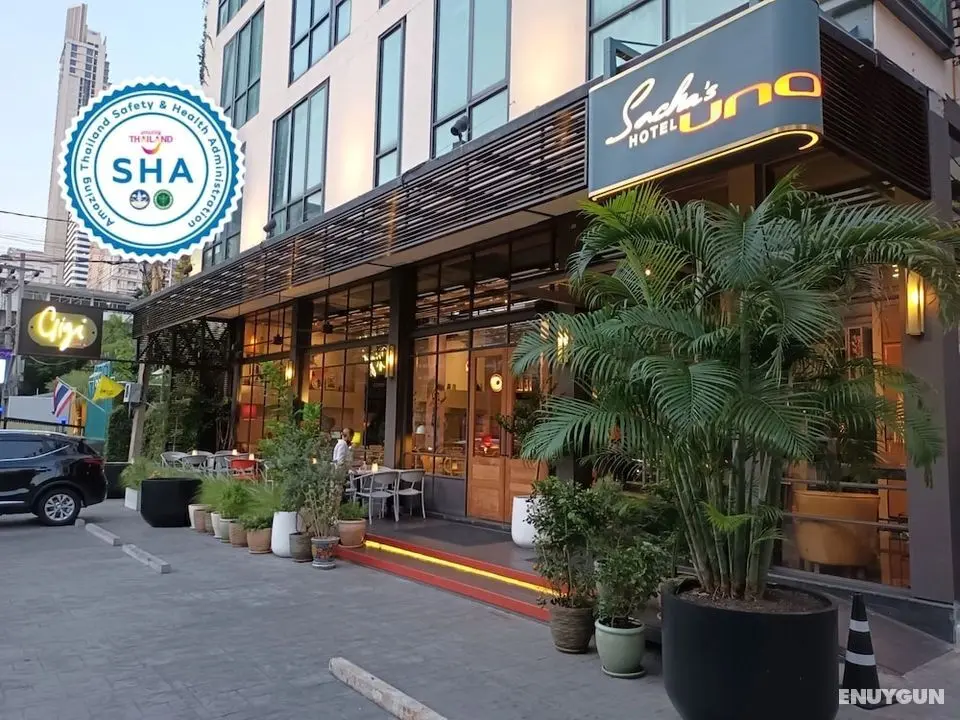 Sacha's Hotel Uno - Öne Çıkan Resim