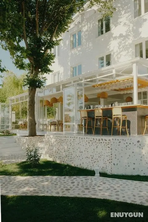 Sadef Akkonak - Öne Çıkan Resim