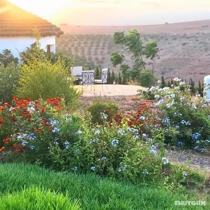 Safa Boulaouane Eco-Lodge - Dış Mekan