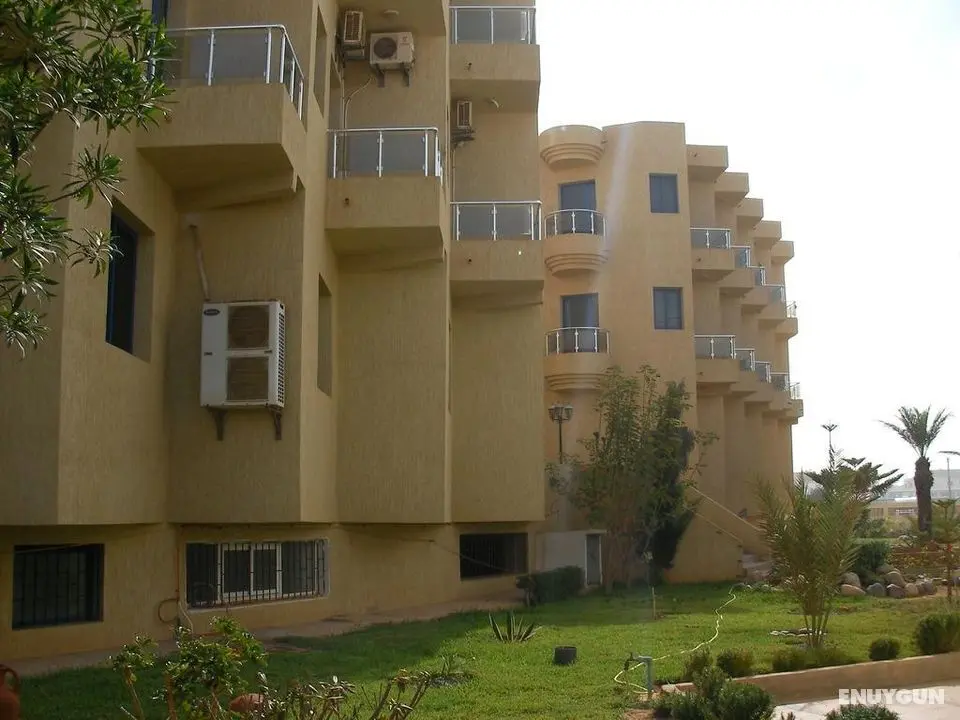 Safa - Genel
