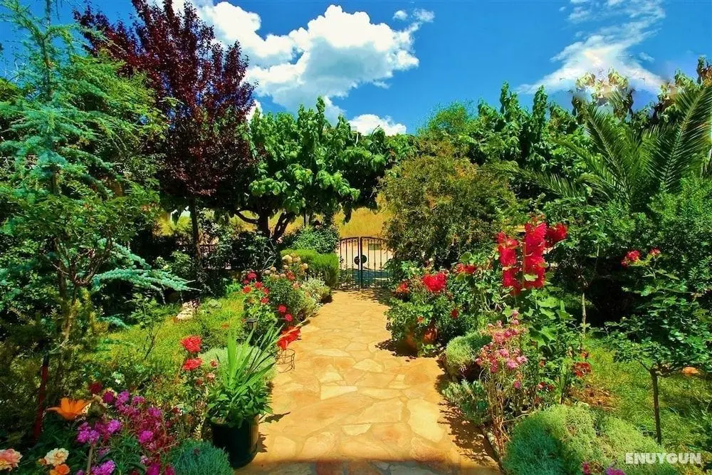 Sagini Hotel - Öne Çıkan Resim