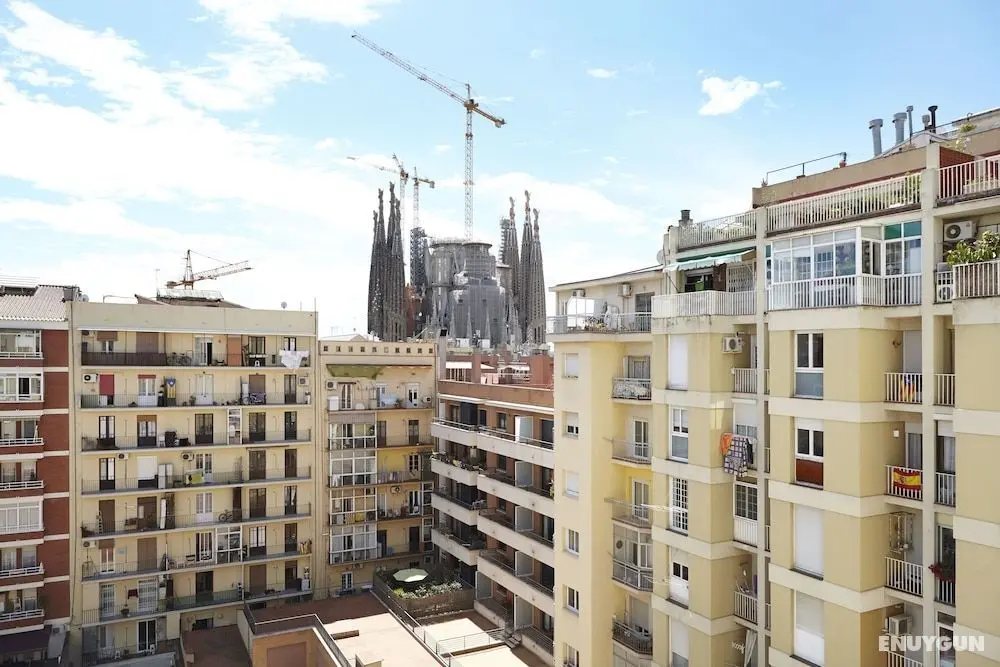 Sagrada Familia Sun - Oda Düzeni