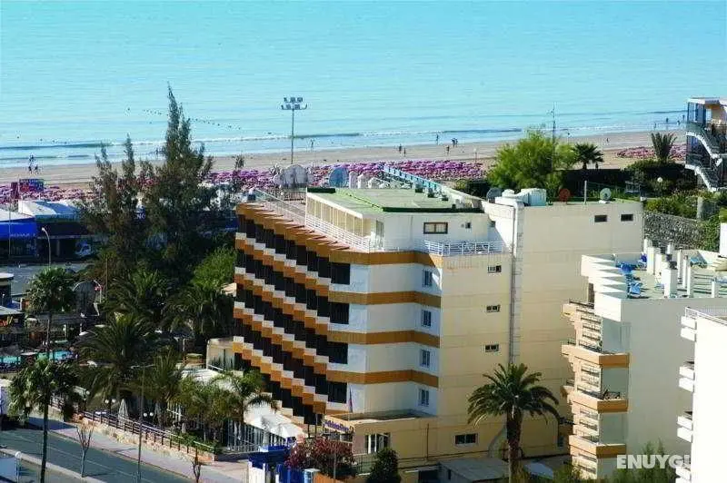 Sahara Playa - Genel