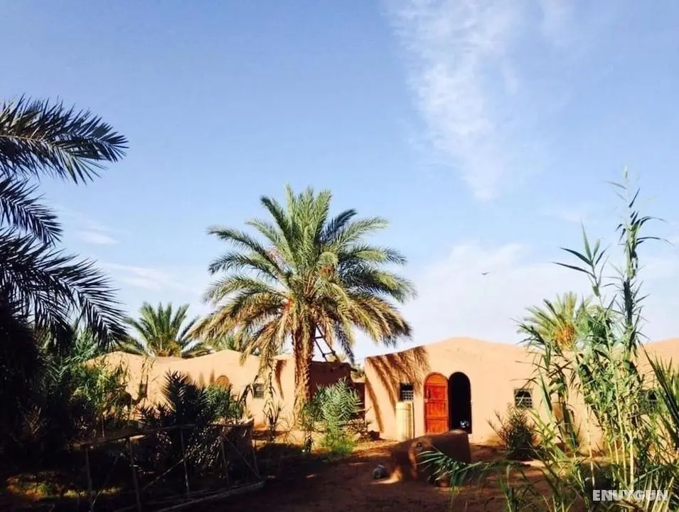 Sahara Source Vie - Oda