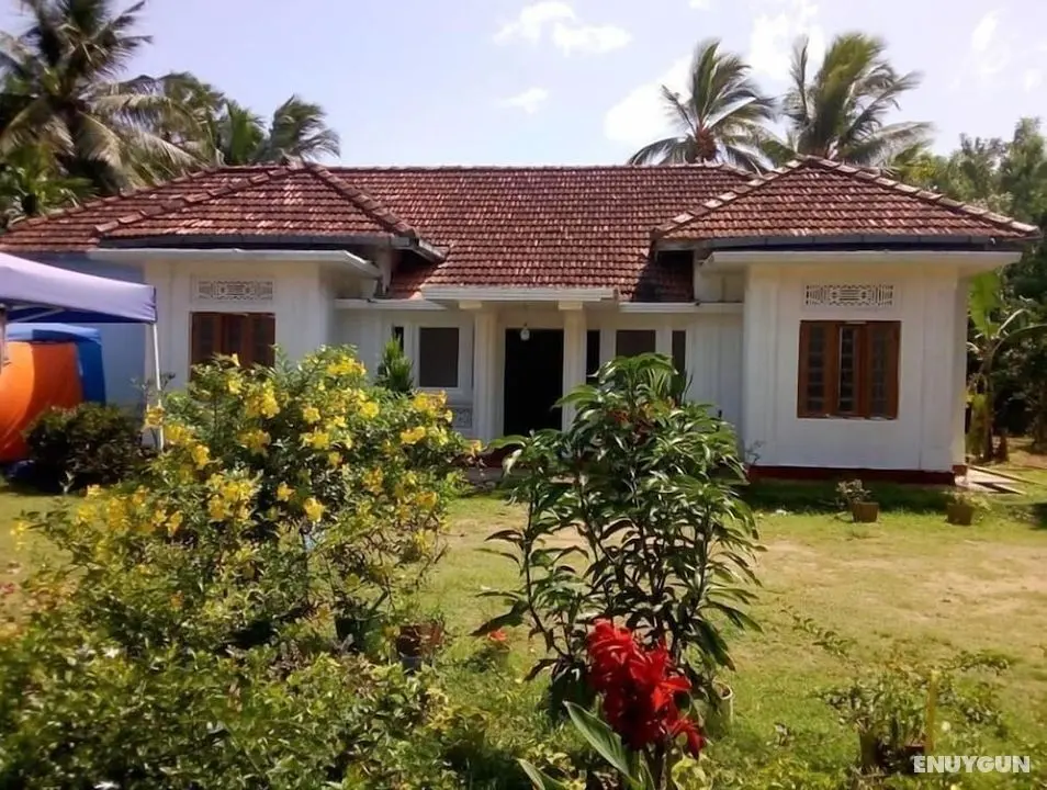 Saja Homestay - Öne Çıkan Resim