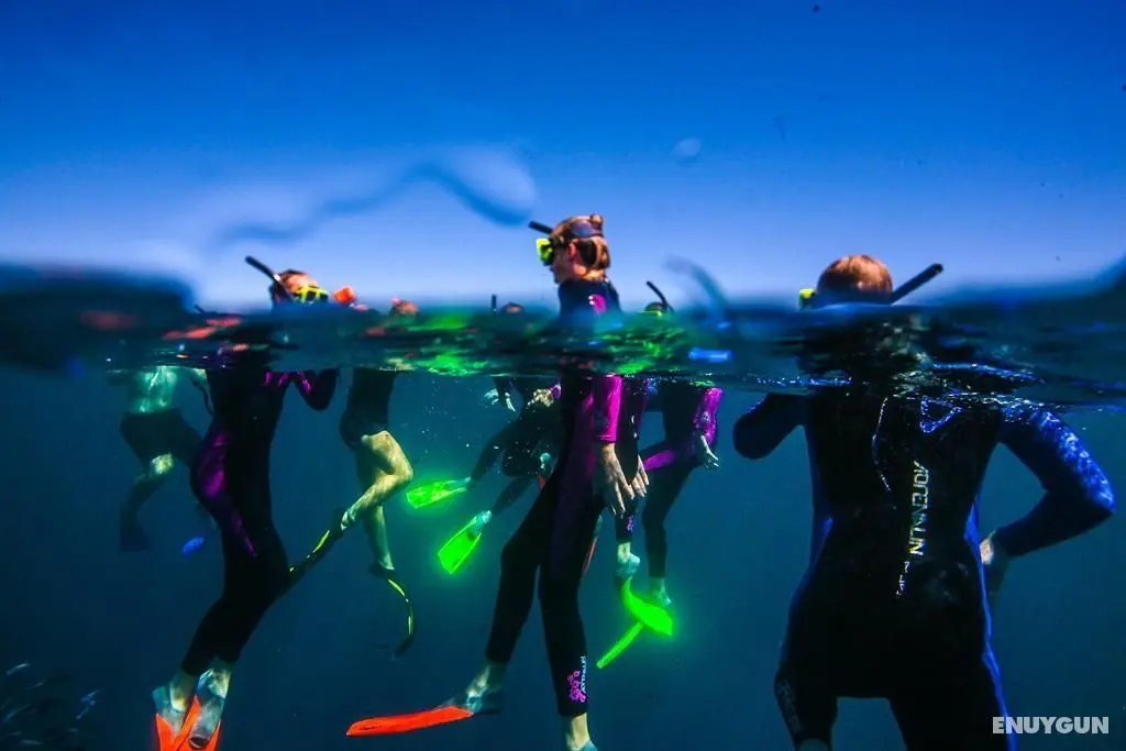 Sal Salis Ningaloo Reef - Genel
