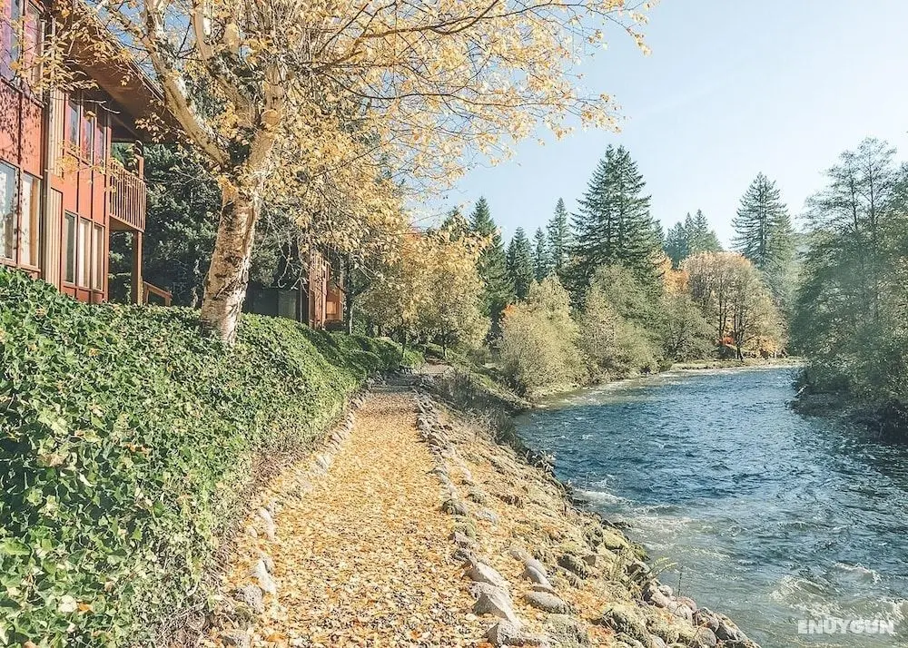 Salmon River Condo #5 - Öne Çıkan Resim