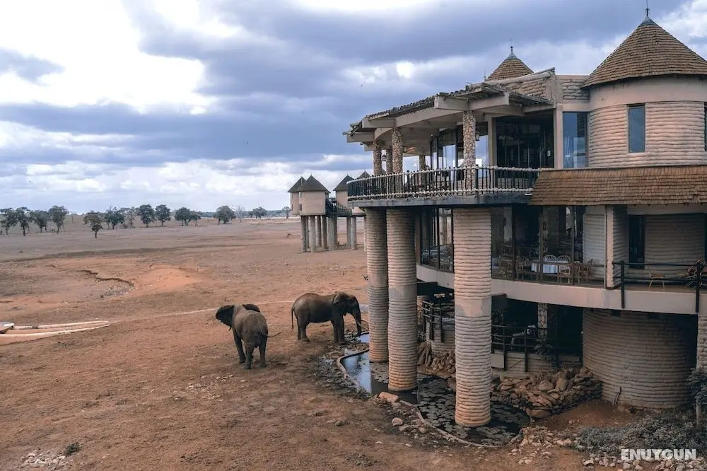 Salt Lick Safari Lodge - Öne Çıkan Resim