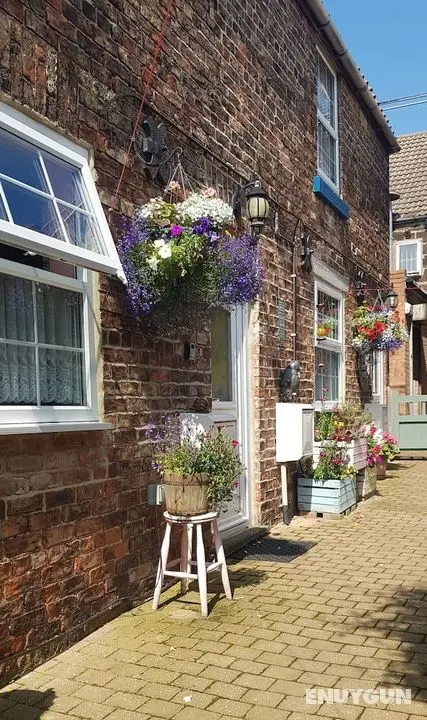 Saltburn Holidays Primrose Cottage - Öne Çıkan Resim