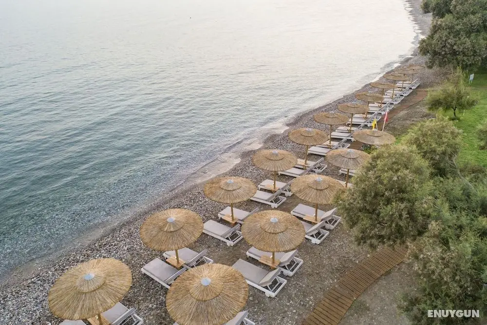 Samaina Inn - All Inclusive - Öne Çıkan Resim