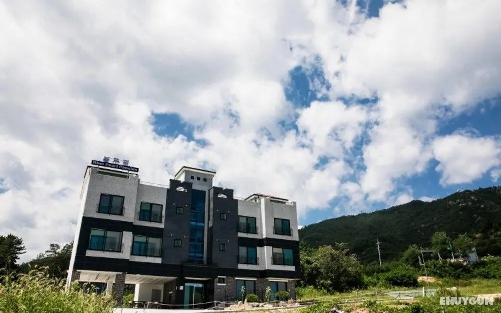 Samcheok Blue Pearl Pension - Misafir Tesisleri ve Hizmetleri
